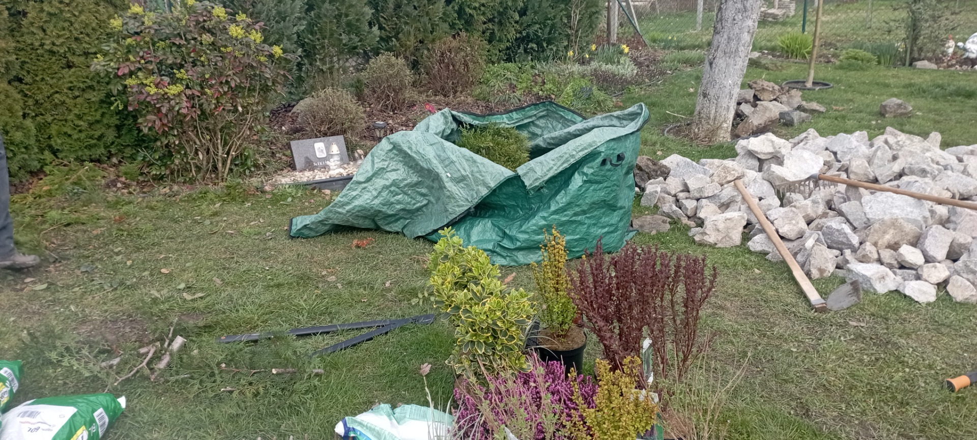 Úprava záhonů před