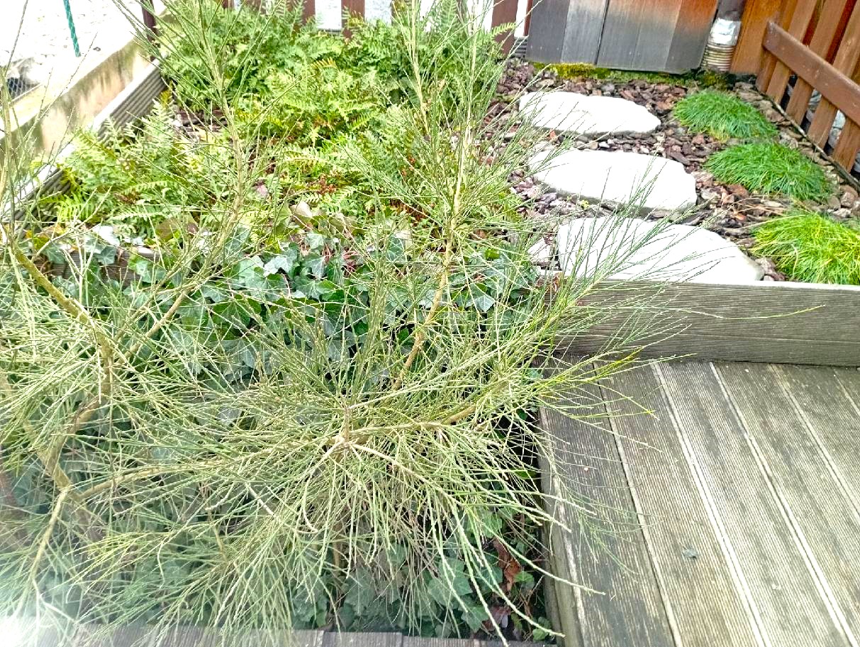 Funkční koutek u terasy