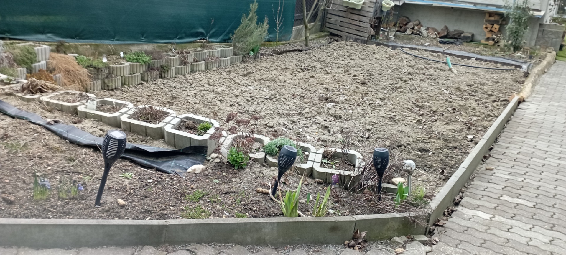 Úprava záhonu před realizací