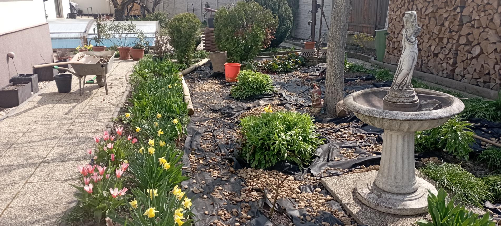 Úprava záhonu před a během realizace