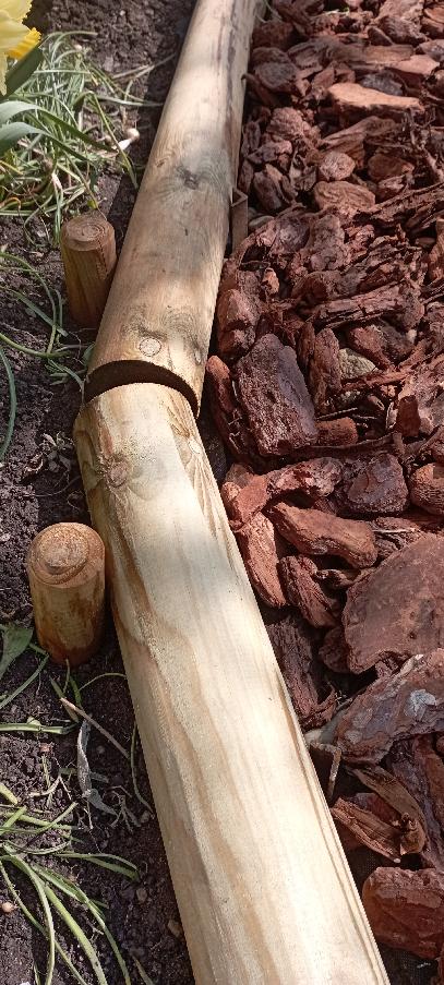 Palisádové kůly a píniová kůra